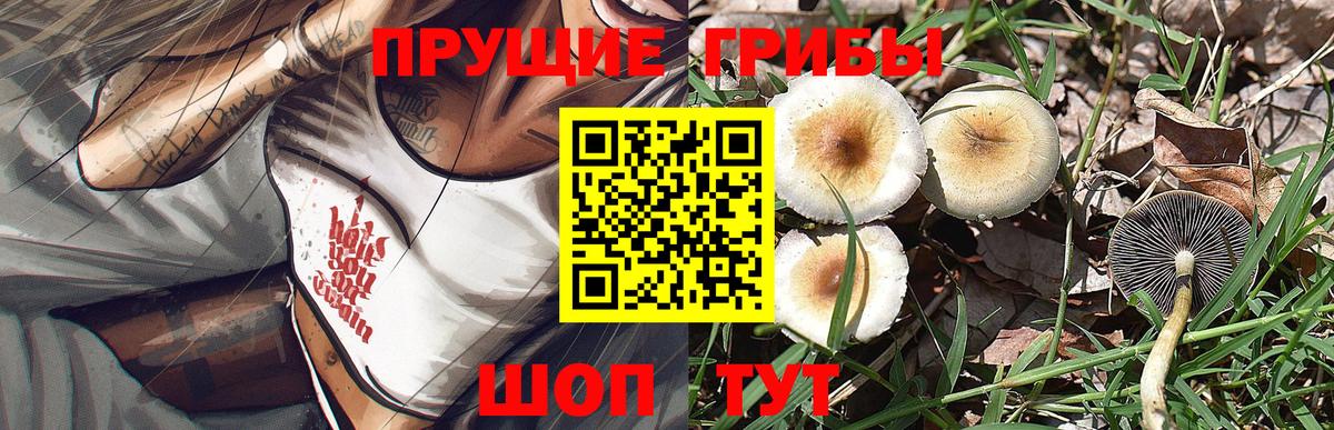 Галлюциногенные грибы GOLDEN TEACHER Керчь
