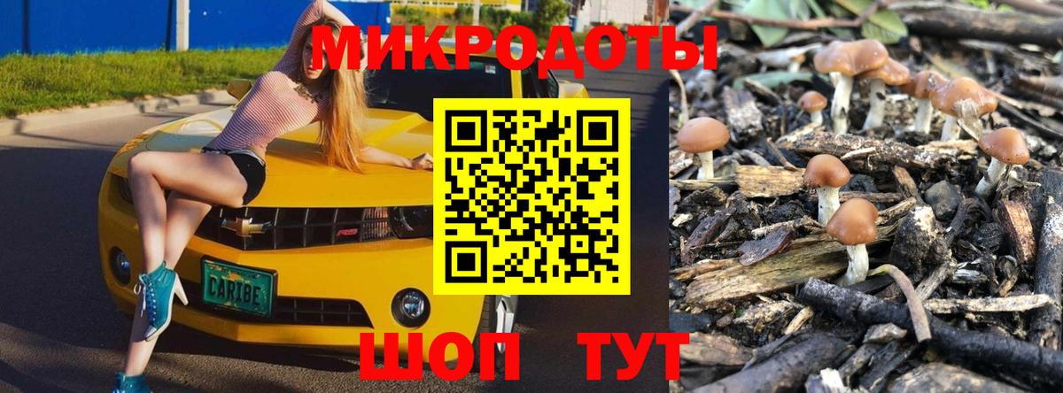 Керчь  Псилоцибиновые грибы мухоморы  Вход с VPN  Псилоцибиновые грибы GOLDEN TEACHER 